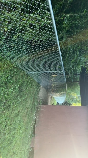 Chain link backyard run with overhead cover — East Tennessee