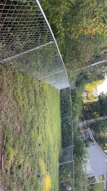 Chain link backyard dog run enclosure — East Tennessee fence contractor